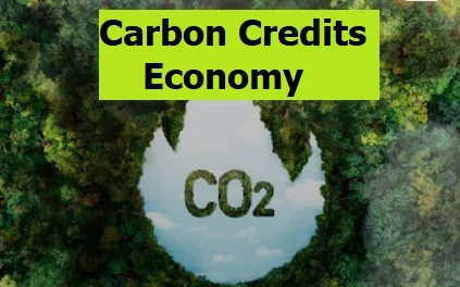 carbon credits