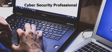 cyber-security-professional